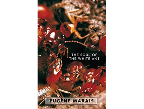 Livro The Soul of the White Ant de Eugene Marais (Inglês)