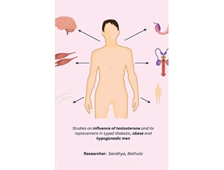 Livro Studies on influence of testosterone and its replacement in type2 diabetic obese and hypogonadic men de Bathula R Sandhya (Inglês)