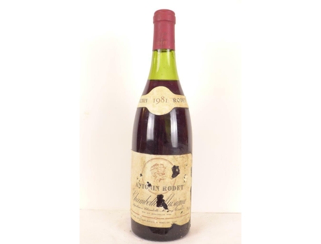 Vinho Tinto ANTONIN RODET 1981 (75 cl - 1 unidade)