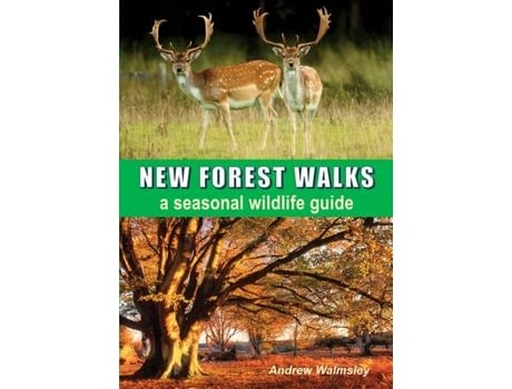 Livro new forest walks de walmsley, andrew (inglês)