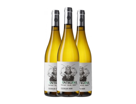 Vinho branco BATLLIU DE SORT Pantigana Costers del Segre (0.75 L - 3 Unidades)