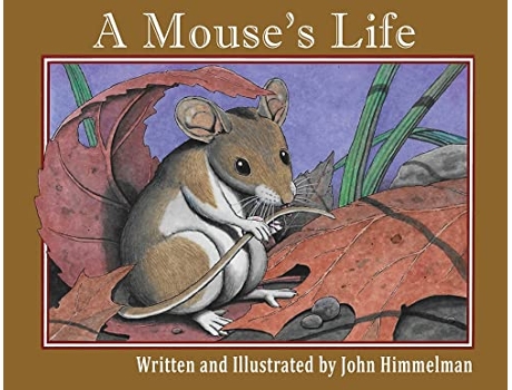 Livro A Mouses Life de John Himmelman (Inglês)