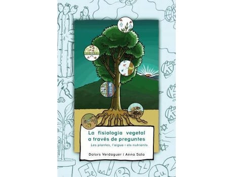 Livro La Fisiologia Vegetal A Través De Preguntes : Les Plantes, L¿Aigua I Els Nutrients de Anna Sala Serra Dolors Verdaguer I Murlà (Espanhol)