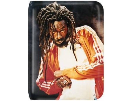 Skins WD My Passport Essential/Essential SE MUSICSKINS MS-BUJU10297