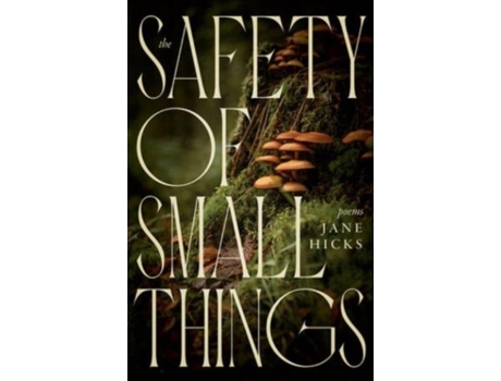 Livro The Safety of Small Things de Jane Hicks (Inglês)