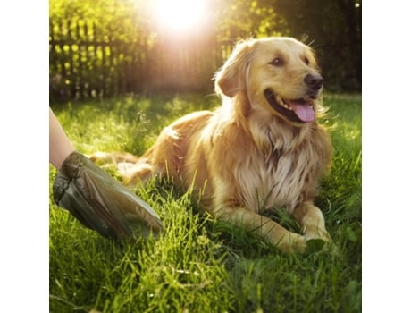 Sacos de Dejetos para Cães  Preto (6 rolos)