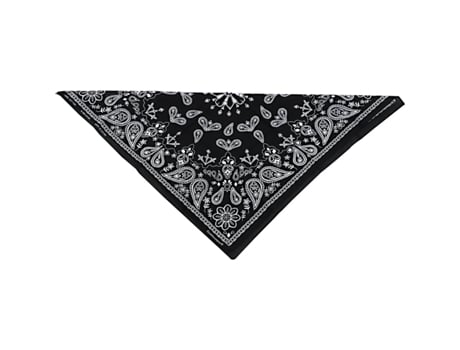 Bandana de Algodão ZAN HEADGEAR Paisley