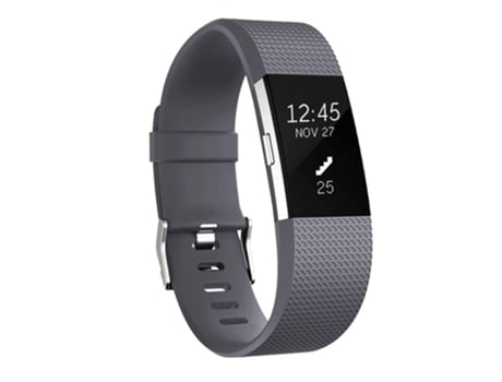 Bracelete INF Wbf-001-grey(l) Fitbit Charge 2 (Silicone - Cinzento -L)