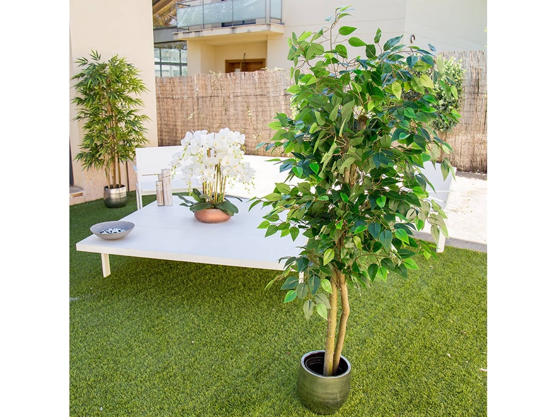 Planta Artificial MAIA SHOP Ficus (Verde - 150 cm) |  Worten.pt