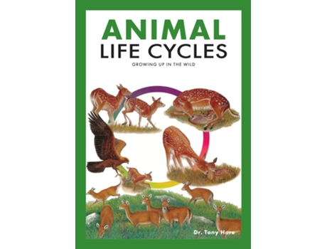 Livro Animal Life Cycles de Tony Hare (Inglês)