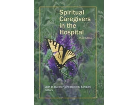 Livro Spiritual Caregivers in the Hospital Windows to Competent Practice de Daniel S Schipani (Inglês)