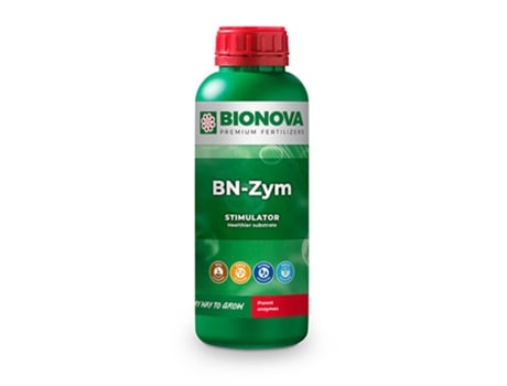 Bn-Zym