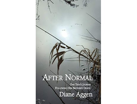 Livro After Normal One Teens Journey Following Her Younger Brothers Death de Diane Aggen (Inglês)