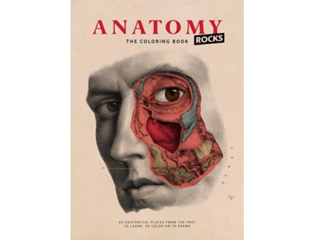 Livro Anatomy Rocks The Coloring Book de Lachat e Rodolphe Lachat (Inglês - Capa Dura)