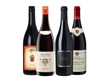 Vinho Pack Pinot Noir En Distintos Climas CAMPOLUZ ENOTECA