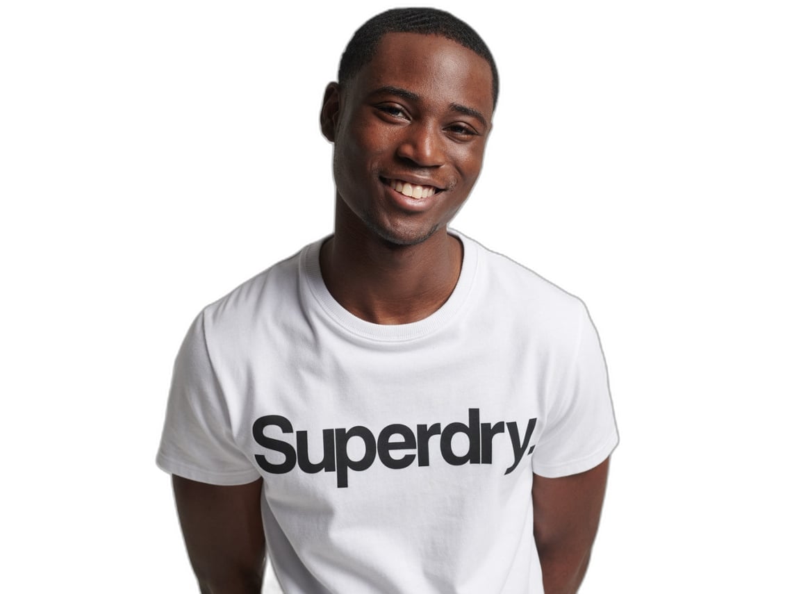 T-shirt para Homem SUPERDRY (L - Multicor)