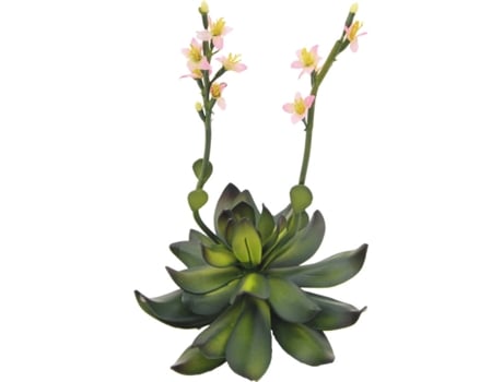 Planta Artificial EUROPALMS Houseleeks (Rosa - 32 cm)