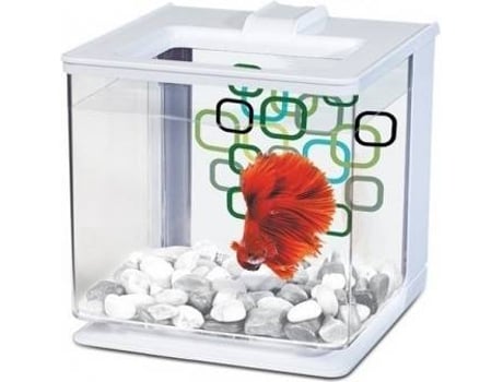 Aquário para Peixes  Kit para Bettas (Branco - 15.8x15.8x15.8cm - 2.5L)