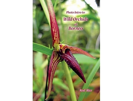 Livro Photo Intro to Wild Orchids of Borneo de Rod Rice (Inglês)