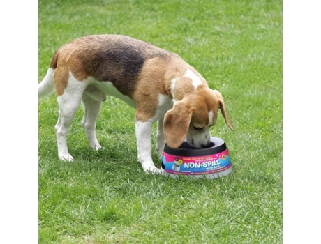 Bebedouro para Cães e Gatos  (Cinzento - Plástico)